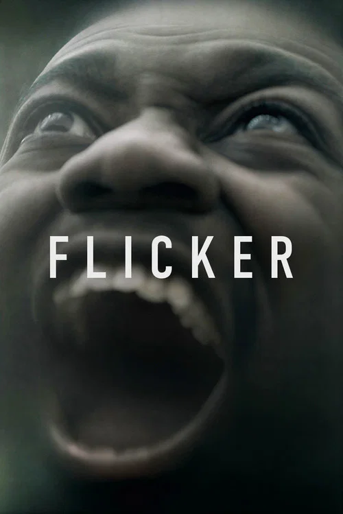 Flicker постер