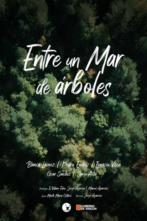 Entre un mar de árboles постер