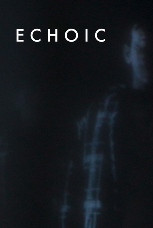 Echoic постер