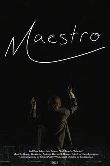 Maestro постер