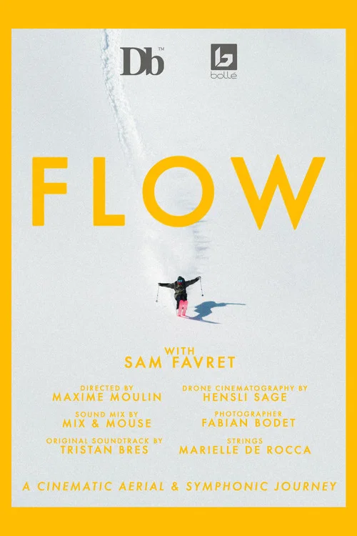 FLOW постер