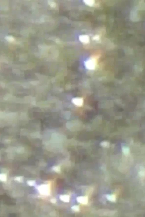 Círculo de luz постер