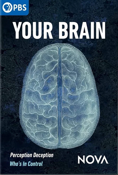 Your Brain постер
