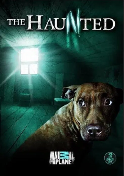 The Haunted постер