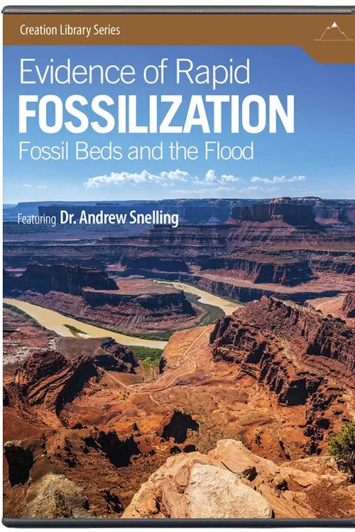Evidence of Rapid Fossilization постер