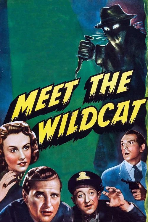 Meet the Wildcat постер