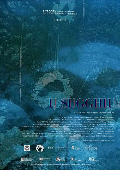 U Sugghiu постер
