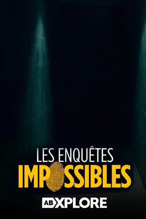 Les enquêtes impossibles 2011 reformatées постер