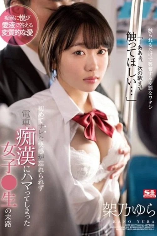 初めてサレた快感が忘れられず電車痴●にハマってしまった女子●生の末路 架乃ゆら постер