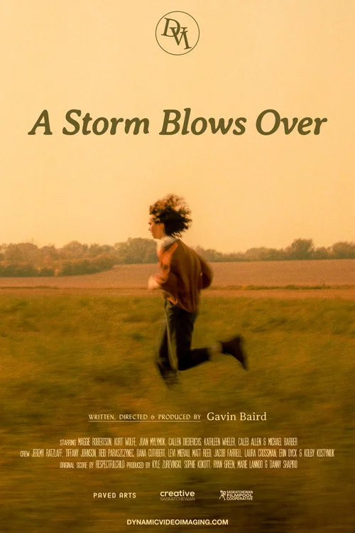 A Storm Blows Over постер