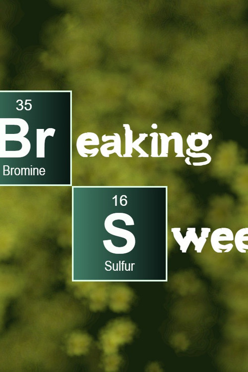 Breaking Sweet постер