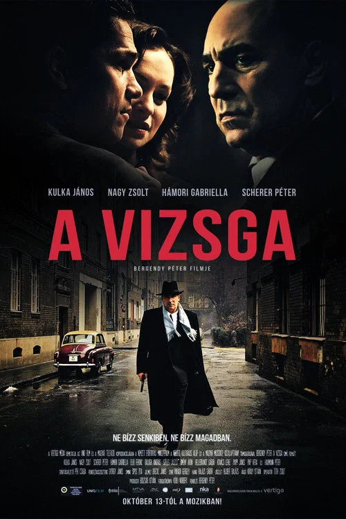 A vizsga постер