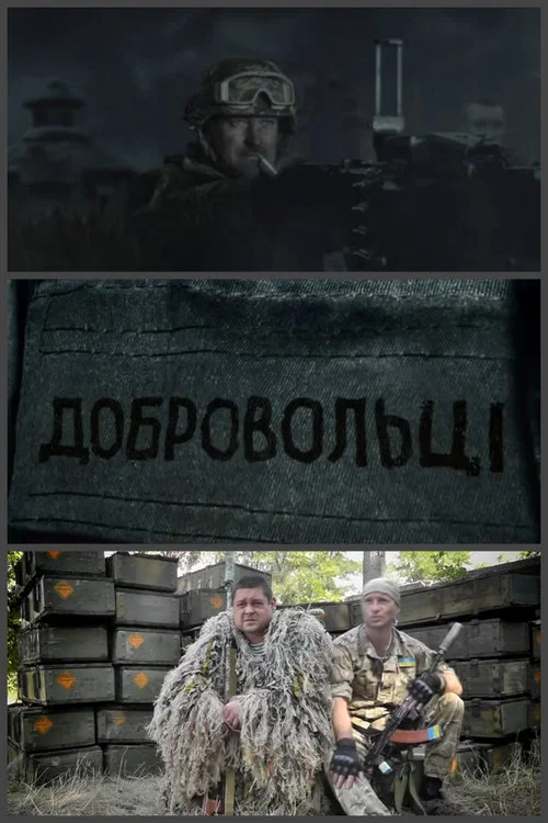 Добровольці постер