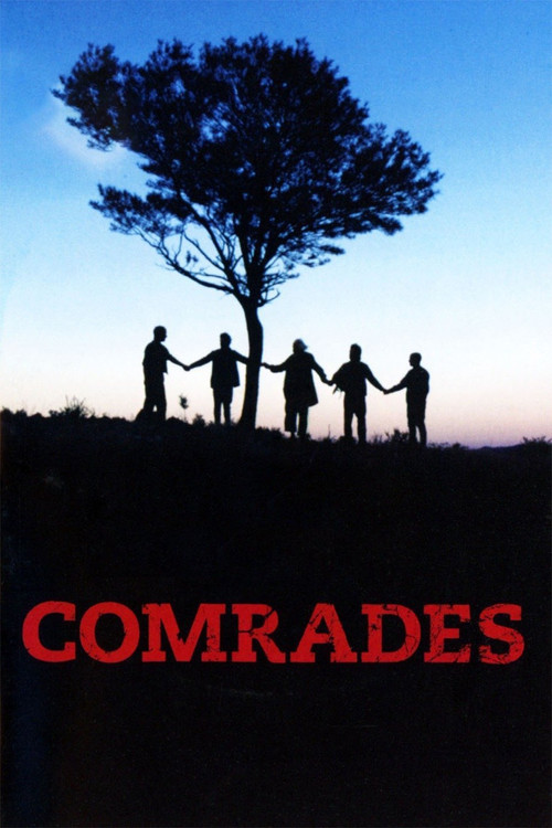 Comrades постер