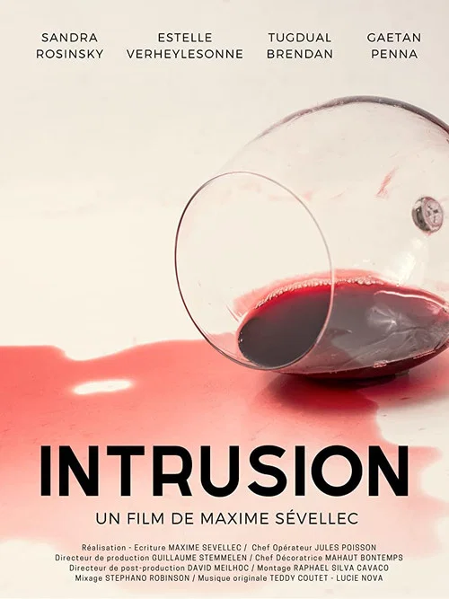 Intrusion постер
