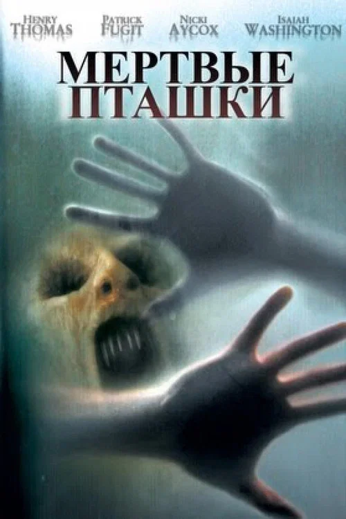 Мёртвые пташки постер