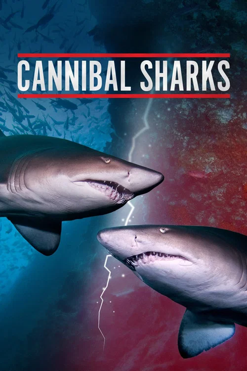 Cannibal Sharks постер