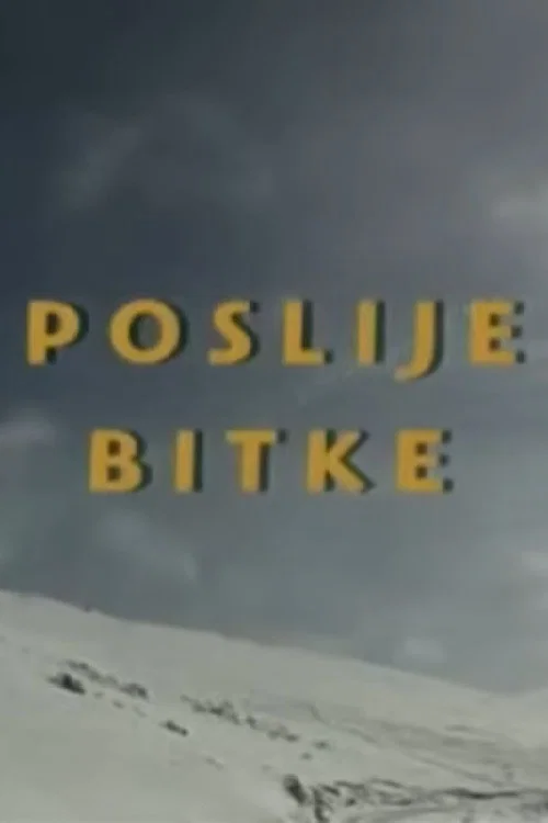 Poslije bitke постер