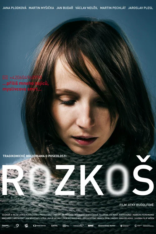 Rozkoš постер