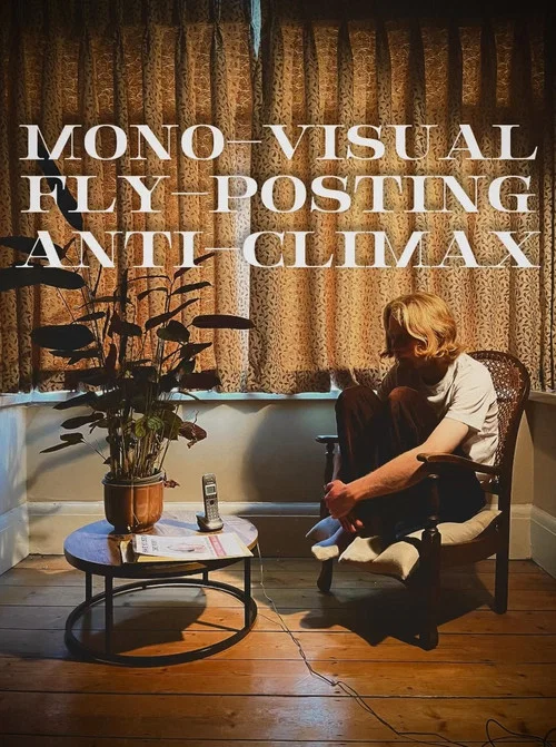 Mono-Visual Fly-Posting Anti-Climax постер