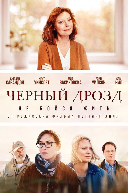 Чёрный дрозд постер