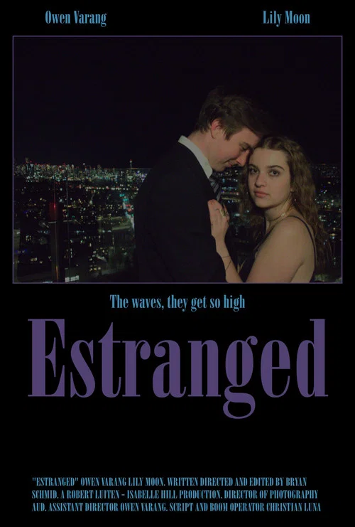 Estranged постер