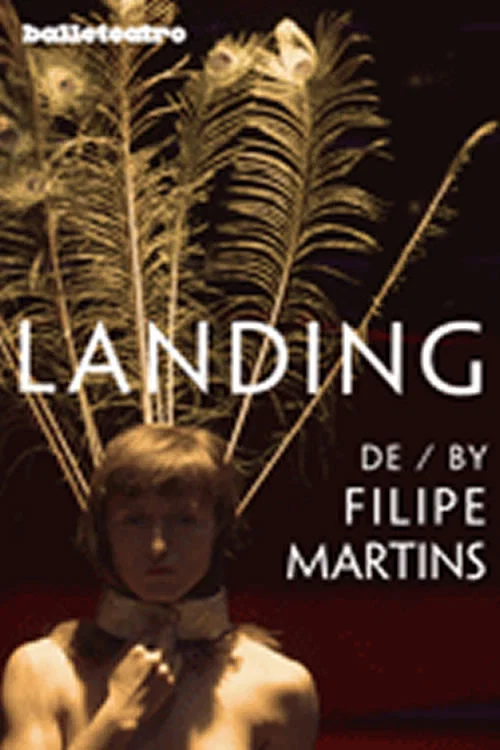 Landing постер