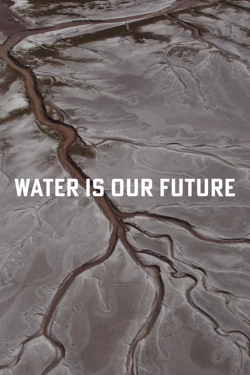 Water Is Our Future постер