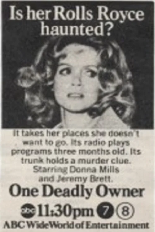 One Deadly Owner постер