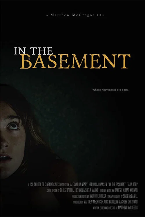 In the Basement постер