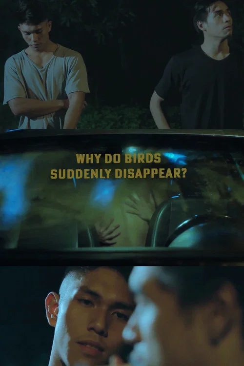 Why Do Birds Suddenly Disappear? постер