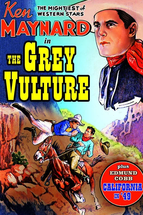 The Grey Vulture постер