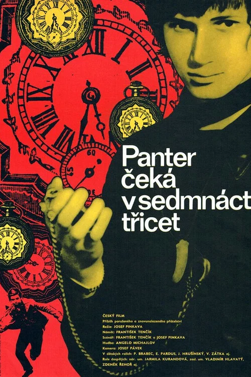 Panter čeká v 17,30 постер