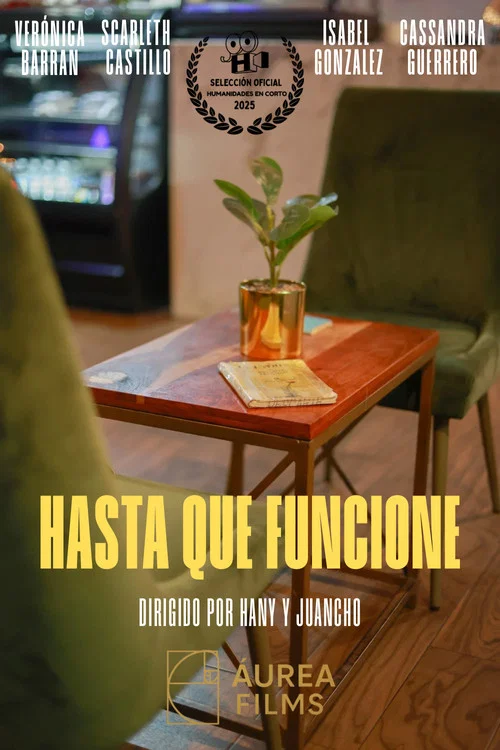 Hasta Que Funcione постер