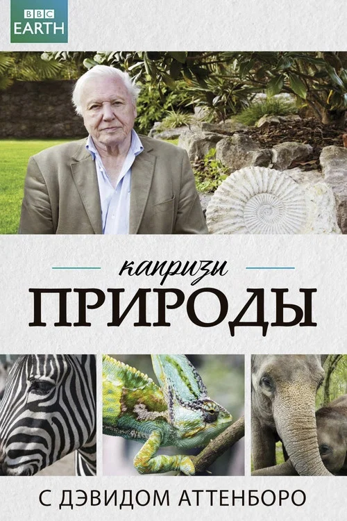 Капризы природы с Дэвидом Аттенборо постер