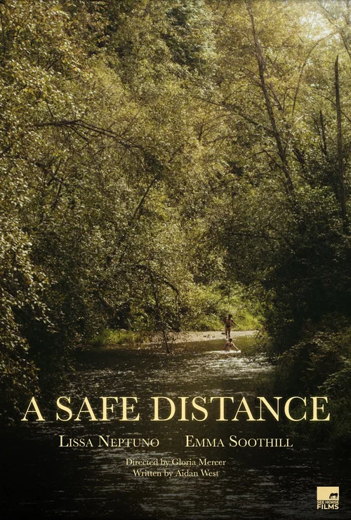 A Safe Distance постер