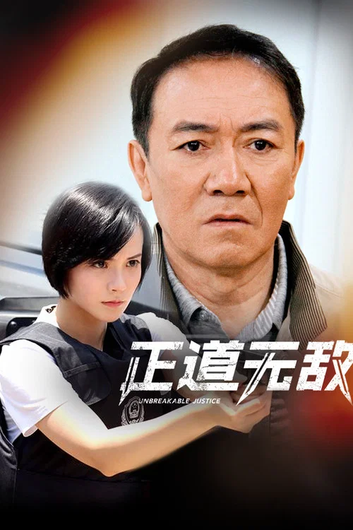 正道无敌 постер
