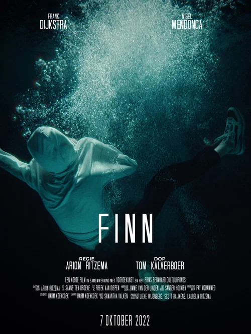 FINN постер