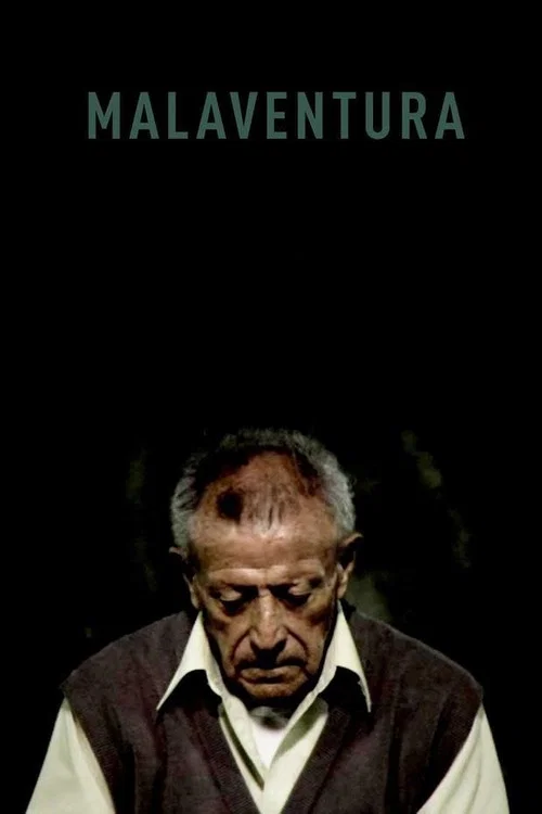 Malaventura постер