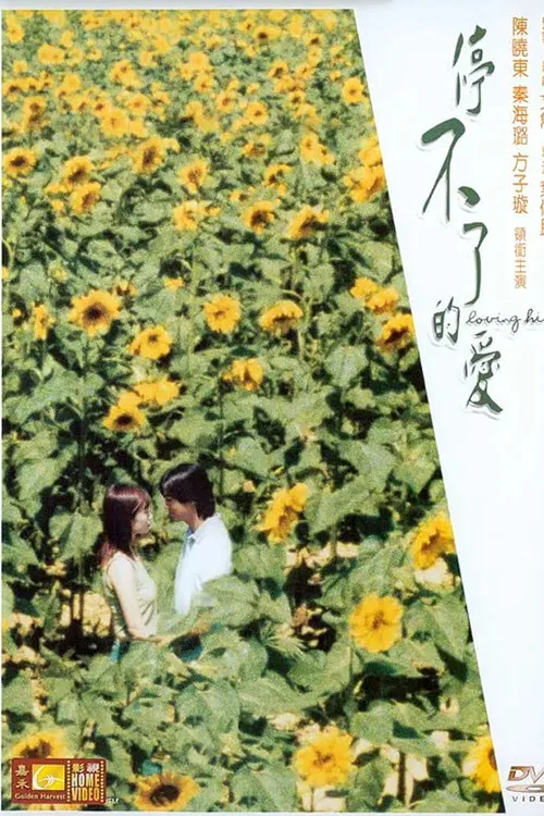 停不了的爱 постер