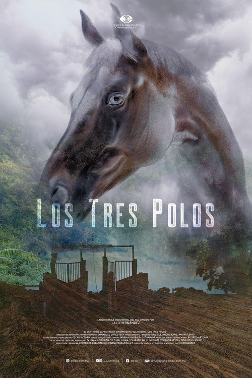 Los tres Polos постер