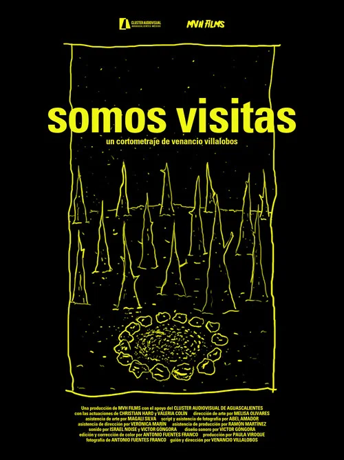 Somos visitas постер