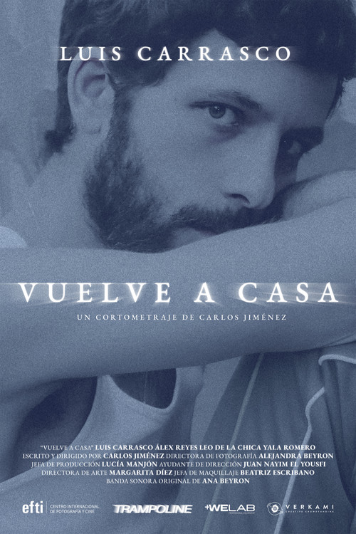 Vuelve a casa постер