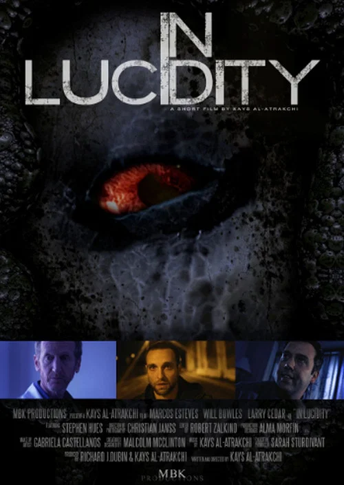 In Lucidity постер