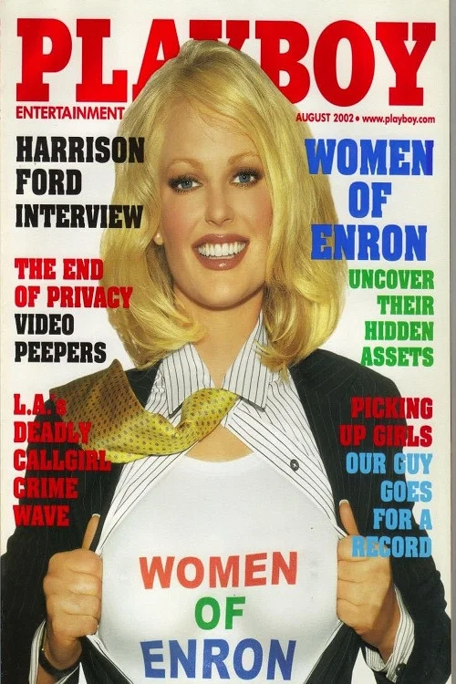Playboy: Women of Enron постер