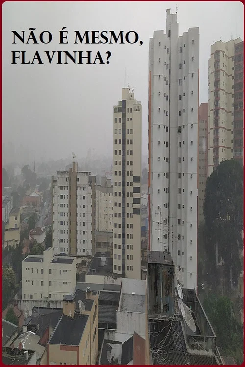 Não é mesmo, Flavinha? постер