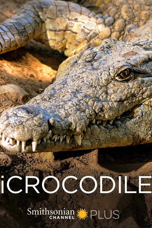 iCrocodile постер
