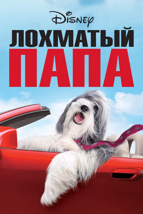 Лохматый папа постер