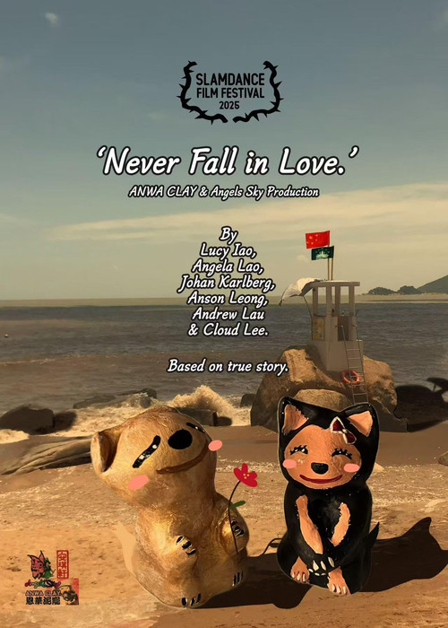 Never Fall in Love. постер