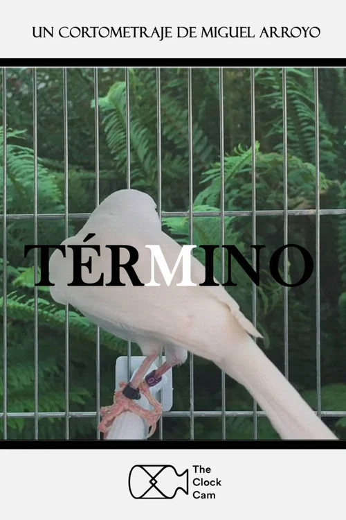 Término постер